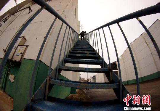 中央儲(chǔ)備糧江西泰和直屬庫(kù)有限公司保管員在倉(cāng)庫(kù)巡查?！⊥蹶魂?yáng) 攝